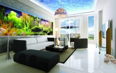 (g)gôeĺP(gun)Db޺ͼҾυs÷ǳ(jin)ֶ@gc(jin)sbY(ji)ϸܺгL(fng)֮ȤO(sh)Ӌ(j)D/ຣ