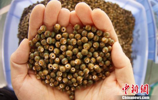 燒制出爐的瓷珠,硬度比傳統(tǒng)陶瓷高20%,耐磨抗摔,變形率極小!⊥蹶魂 攝